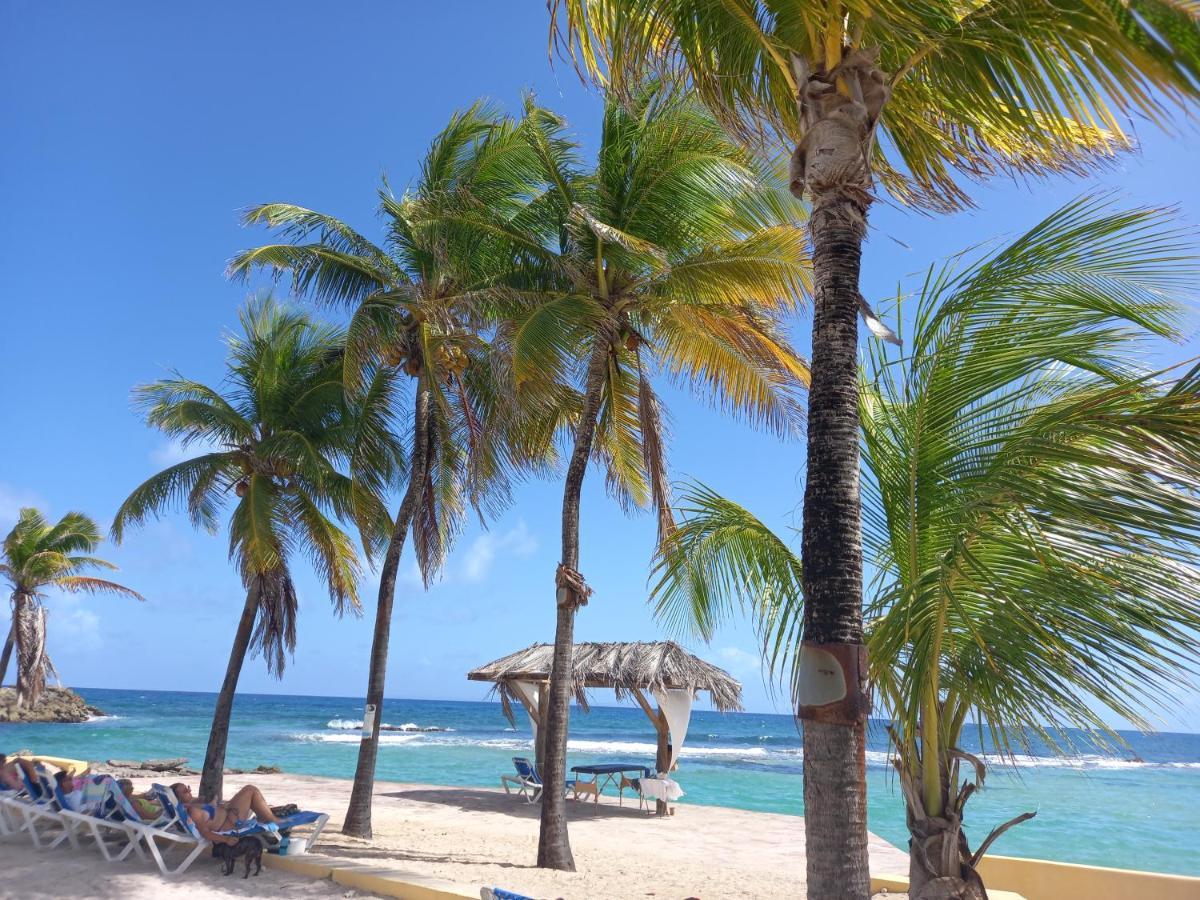 Апарт отель Tropical Cocooning Сен-Франсуа Экстерьер фото